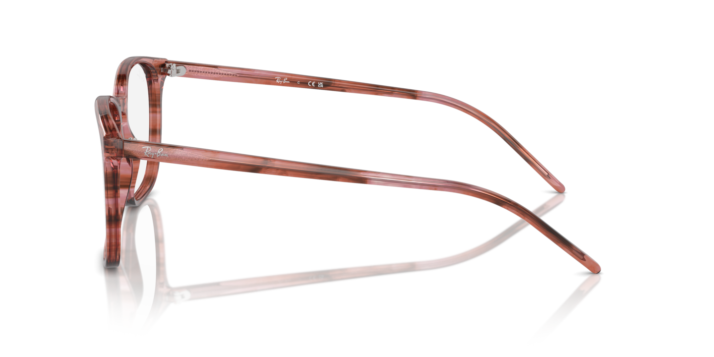 Ray-Ban-RB5387 Optics - Image 4