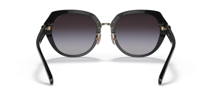 Coach-HC8331 C6189 Sunglasses - Image 3